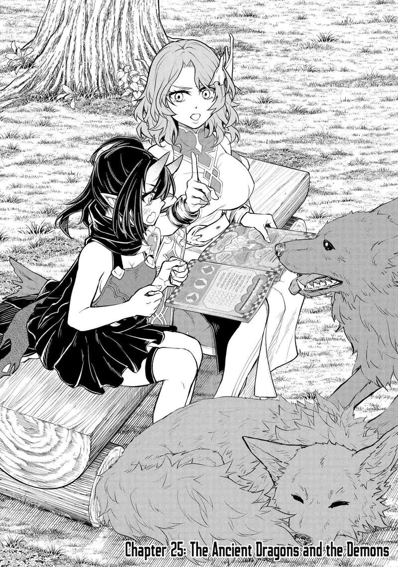 Tenseishitara Saikyou Shutachi Ga Sumau Shima Deshita Kono Shima De Slow Life Wo Tanoshimimasu 25 1