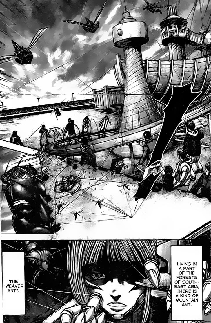 Terra Formars 208 5