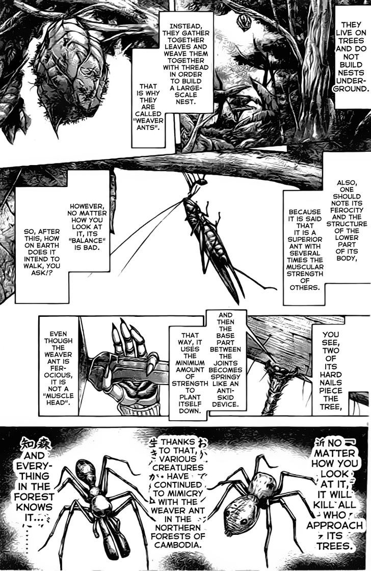 Terra Formars 208 6