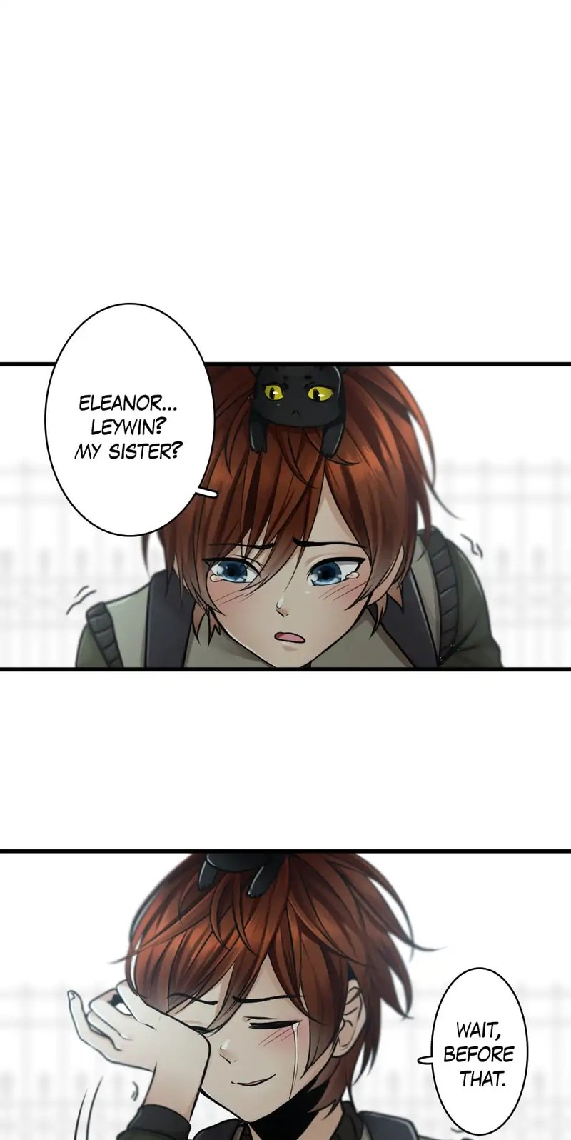 The Beginning After The End 29 19