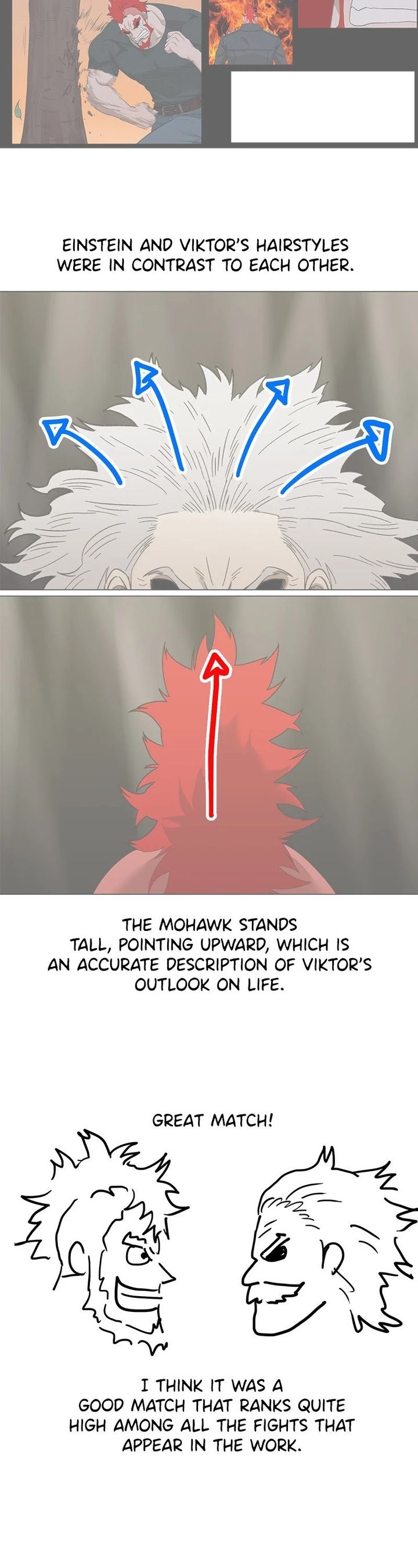 The Boxer 101 10