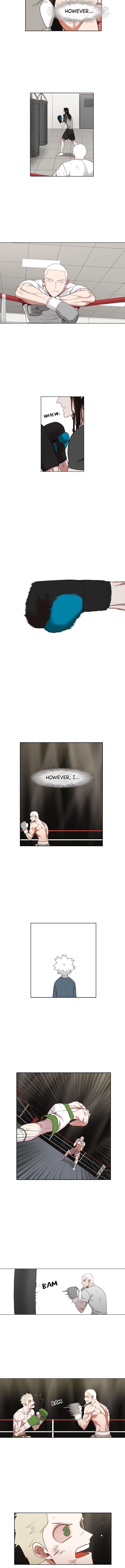 The Boxer 131 7