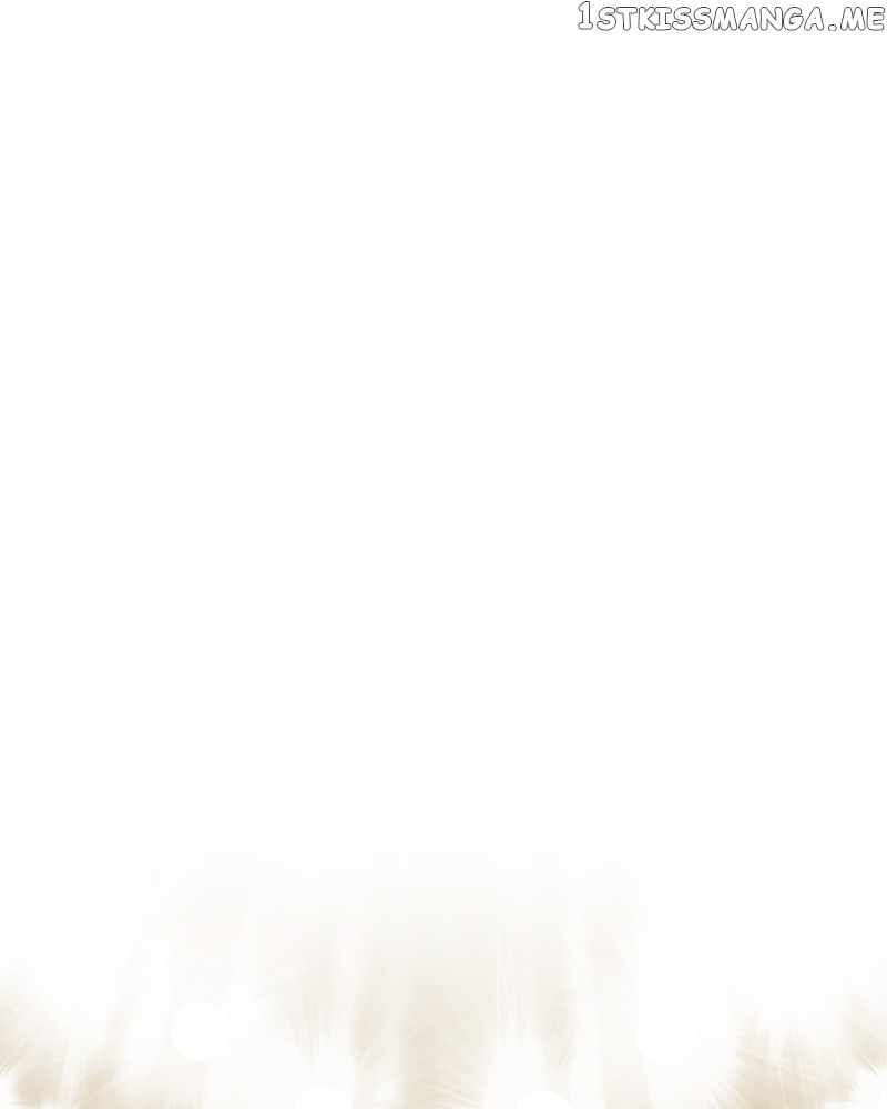 The Boxer 135 113