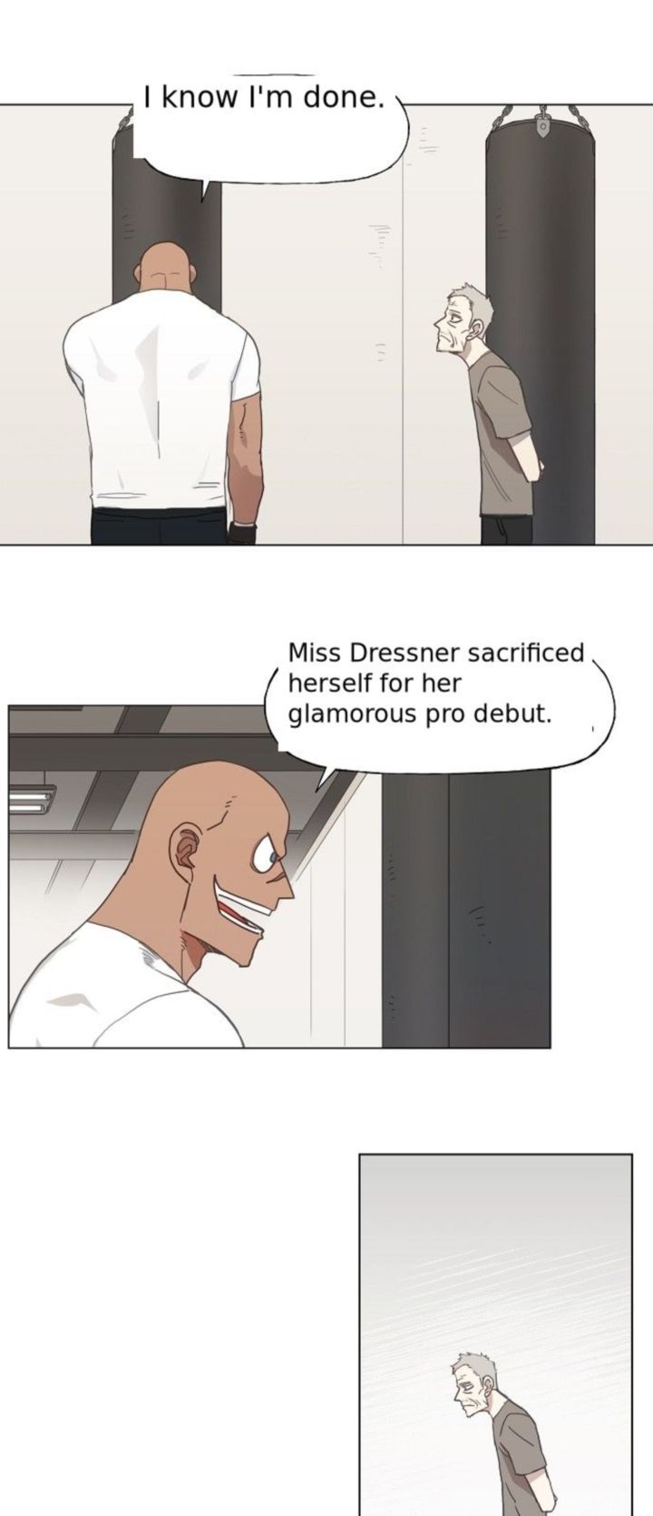 The Boxer 17 9