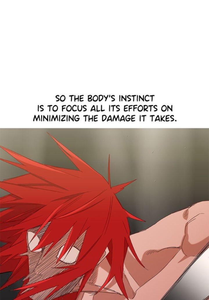 The Boxer 23 19