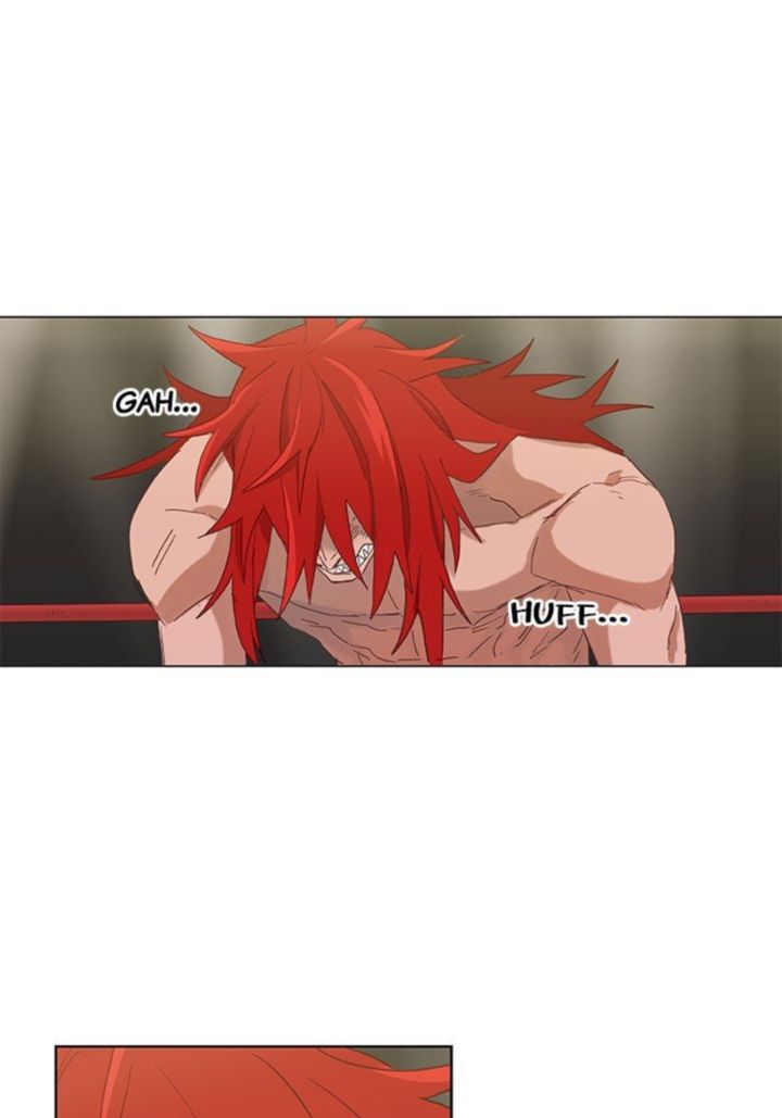 The Boxer 23 34