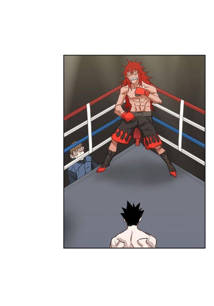 The Boxer 23 49
