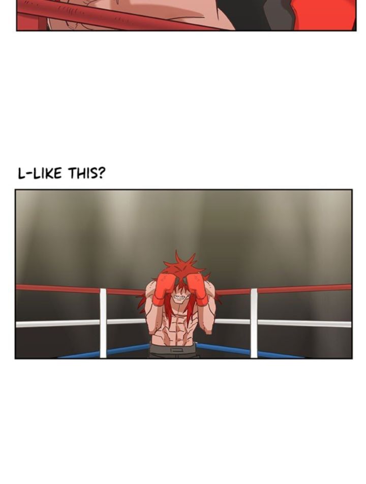 The Boxer 23 54