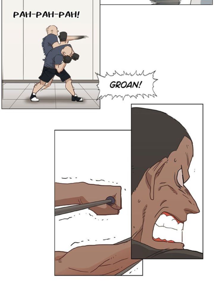 The Boxer 23 6