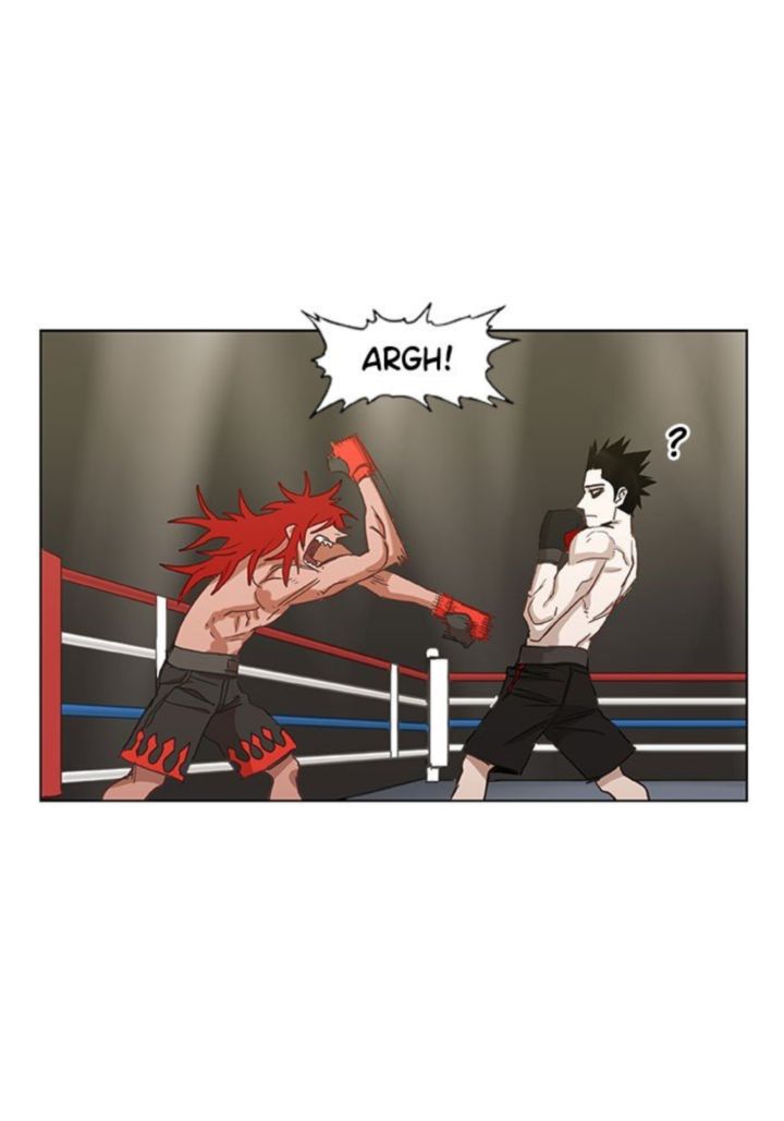 The Boxer 23 61