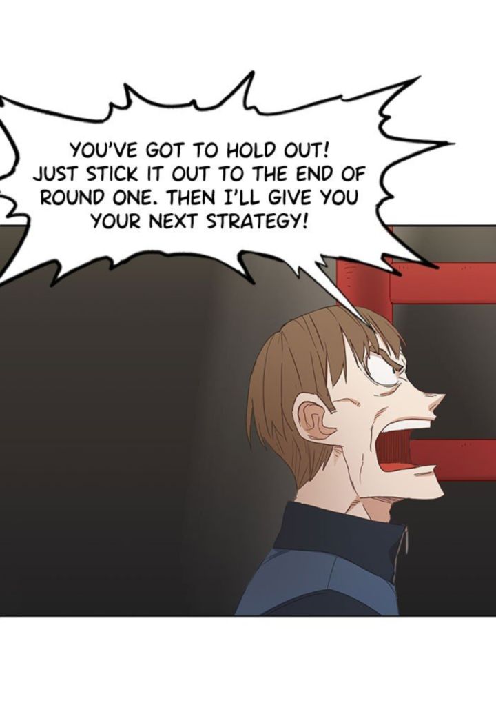 The Boxer 23 68