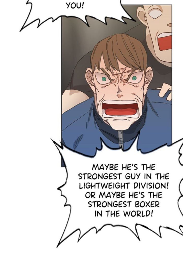 The Boxer 23 86