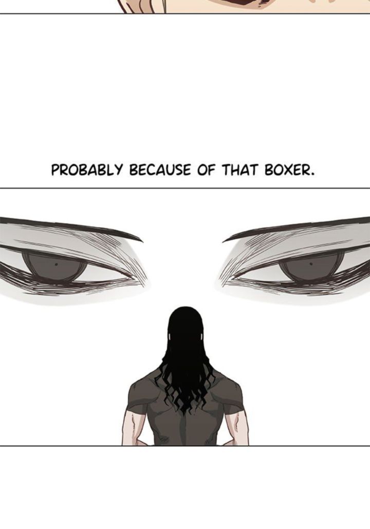 The Boxer 25 37