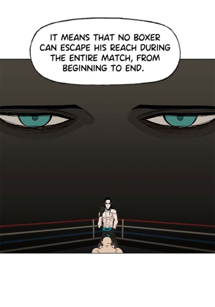 The Boxer 25 72
