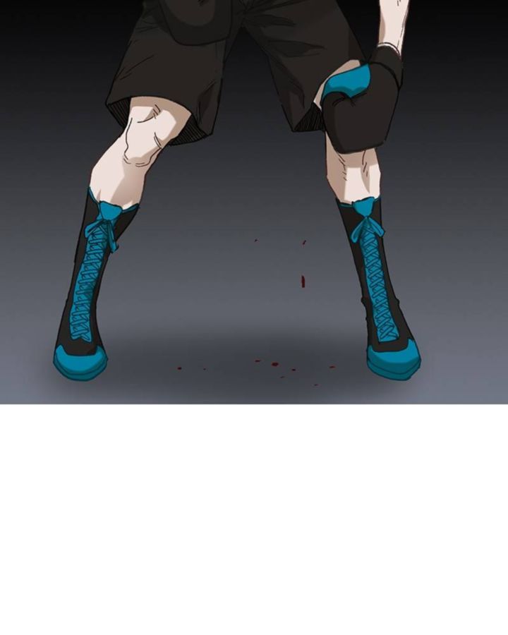 The Boxer 30 137