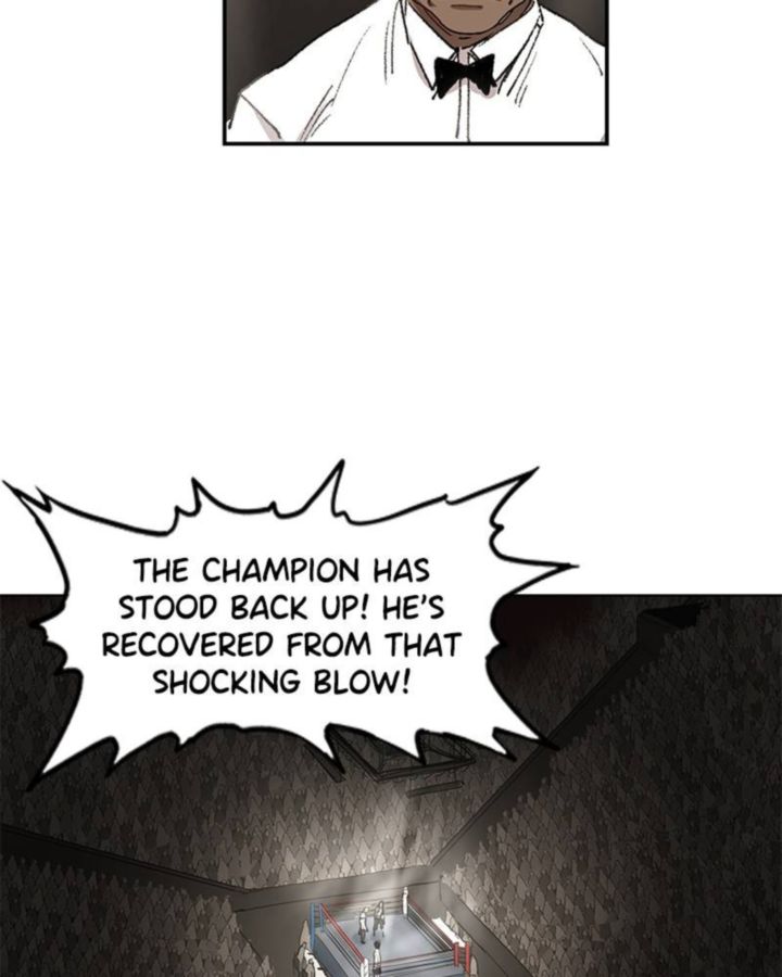 The Boxer 30 36