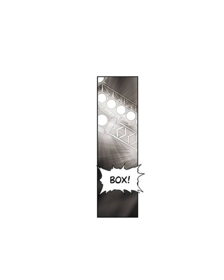 The Boxer 30 54