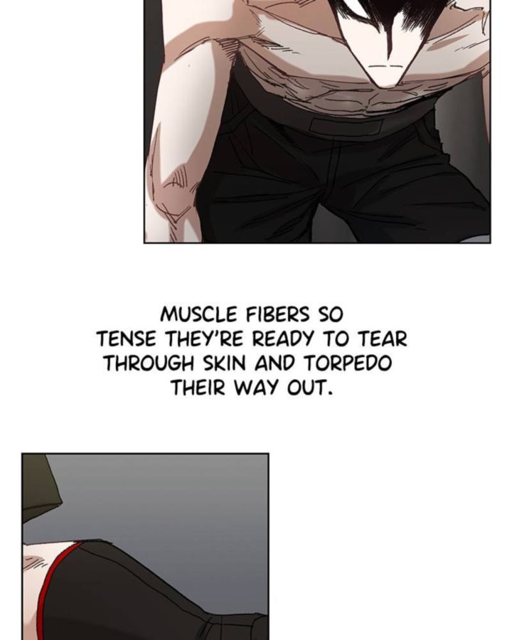 The Boxer 30 61