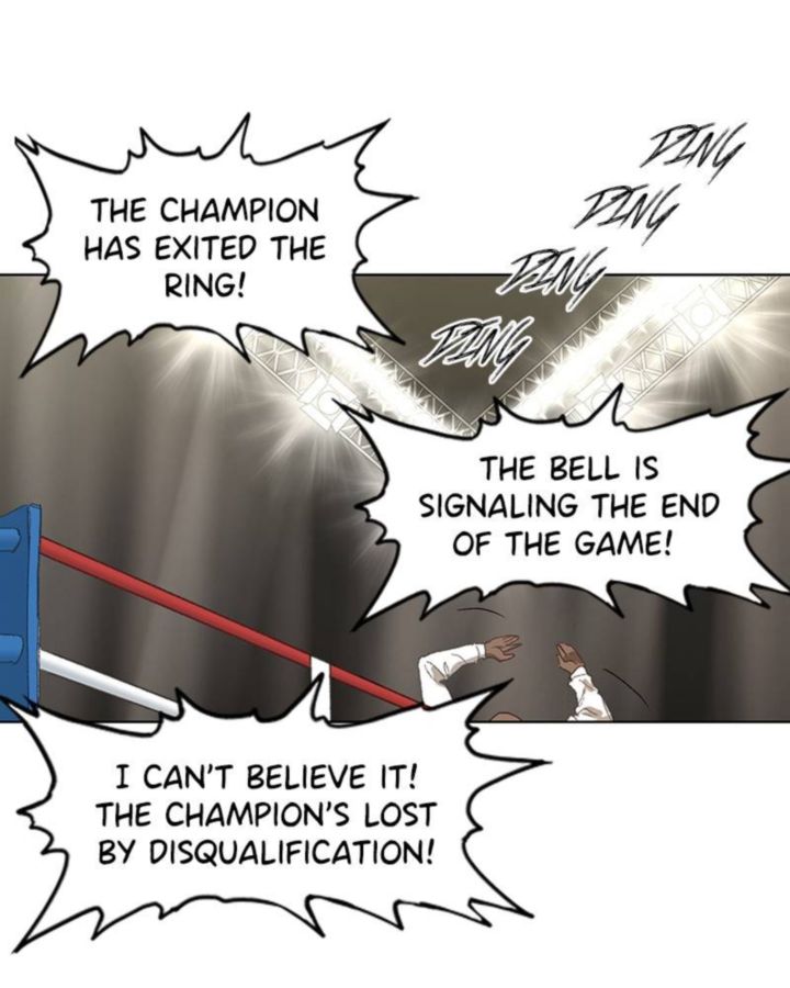 The Boxer 31 144