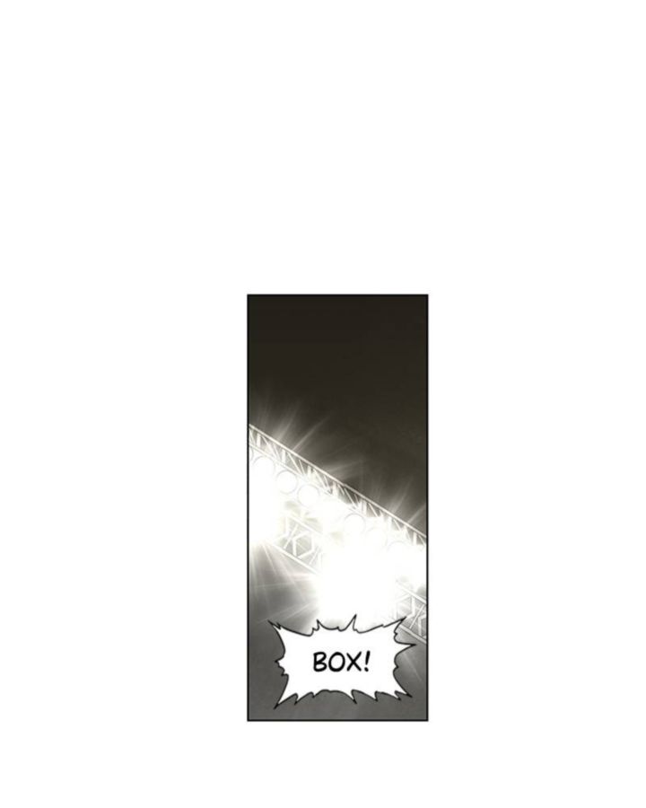 The Boxer 31 22