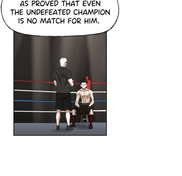 The Boxer 31 35