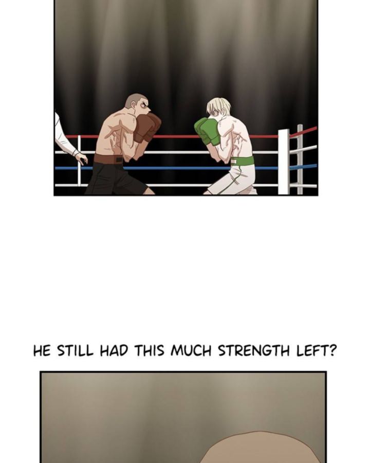 The Boxer 37 47