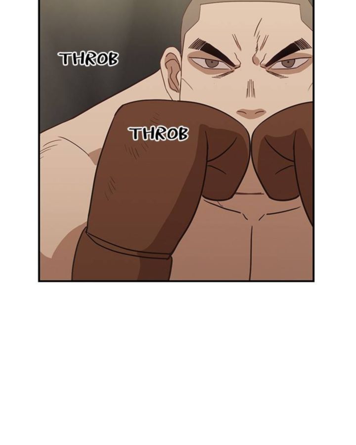 The Boxer 37 48