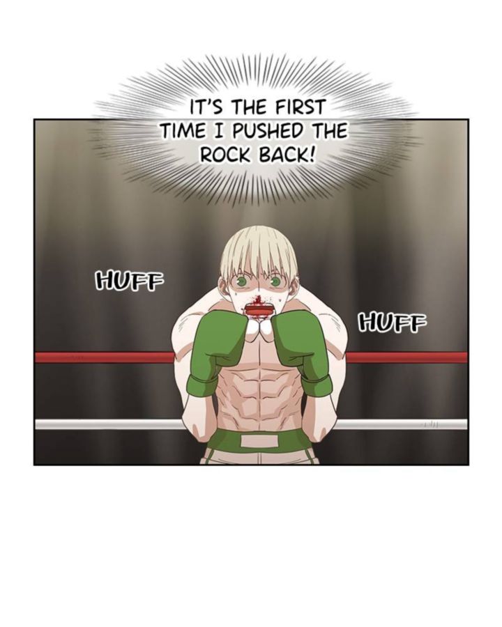 The Boxer 37 51
