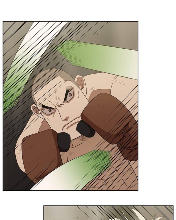 The Boxer 37 59