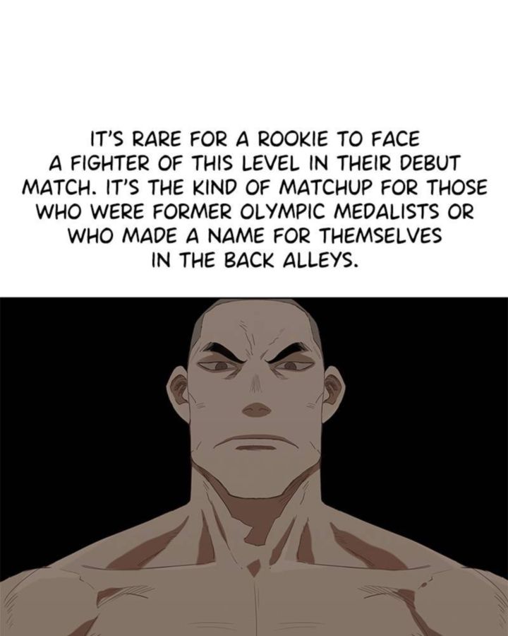 The Boxer 37 65