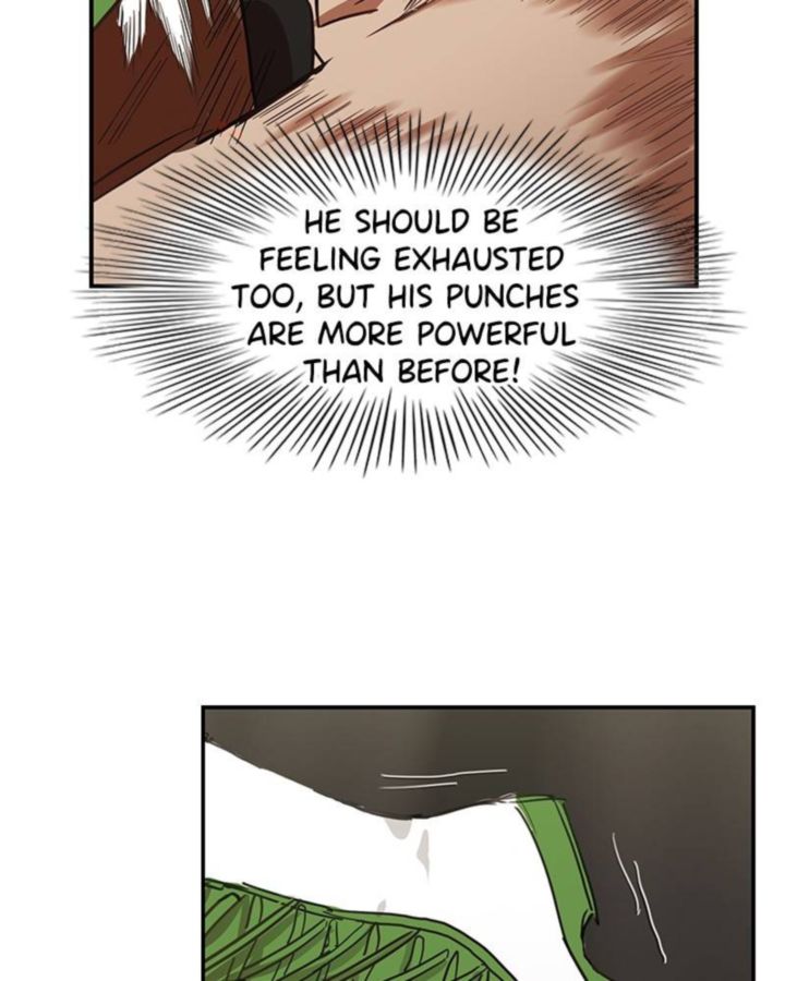 The Boxer 37 74