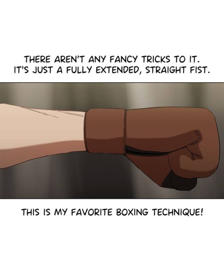 The Boxer 37 81