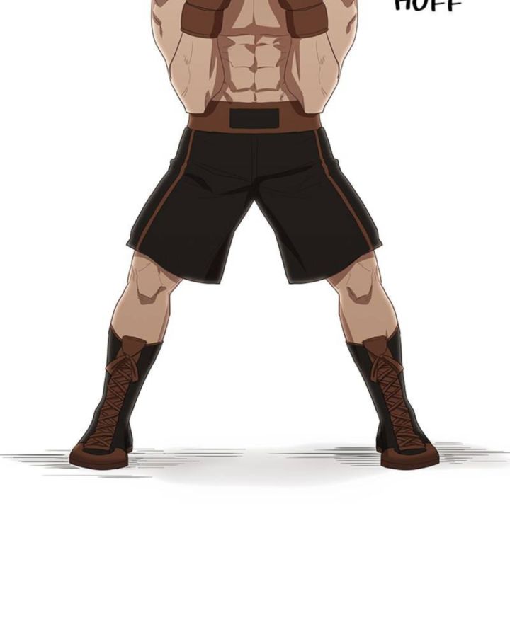 The Boxer 37 86