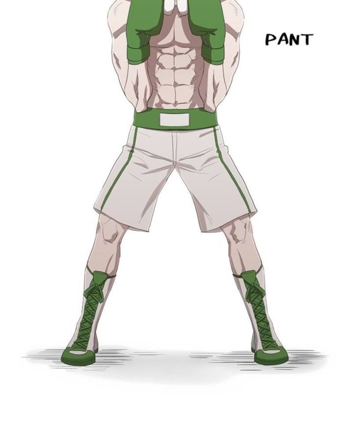 The Boxer 37 88