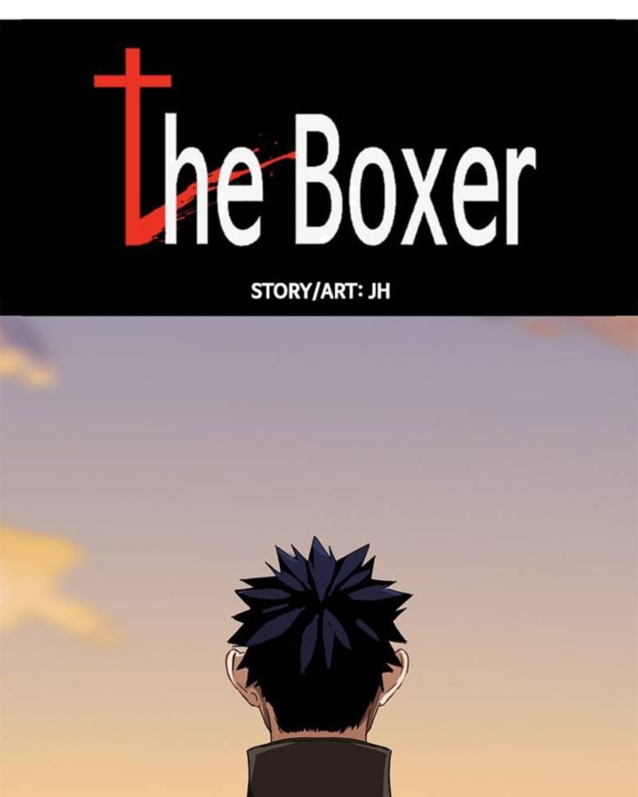 The Boxer 44 50