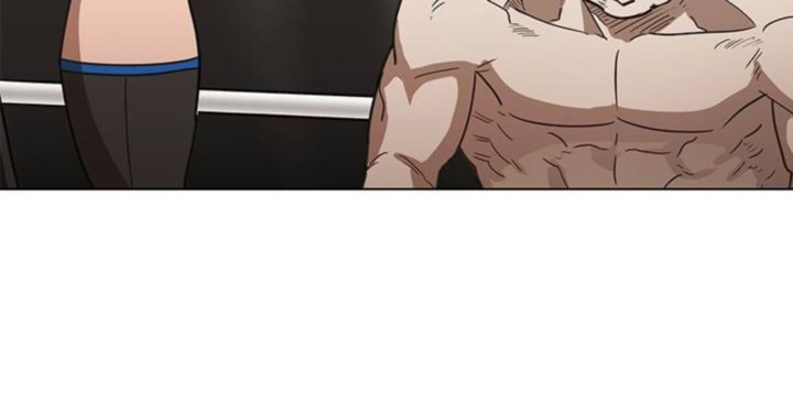 The Boxer 47 113