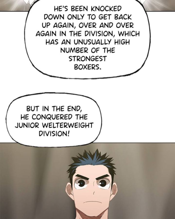 The Boxer 47 12