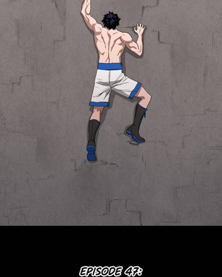 The Boxer 47 43