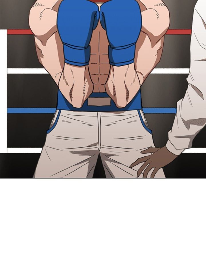 The Boxer 49 37
