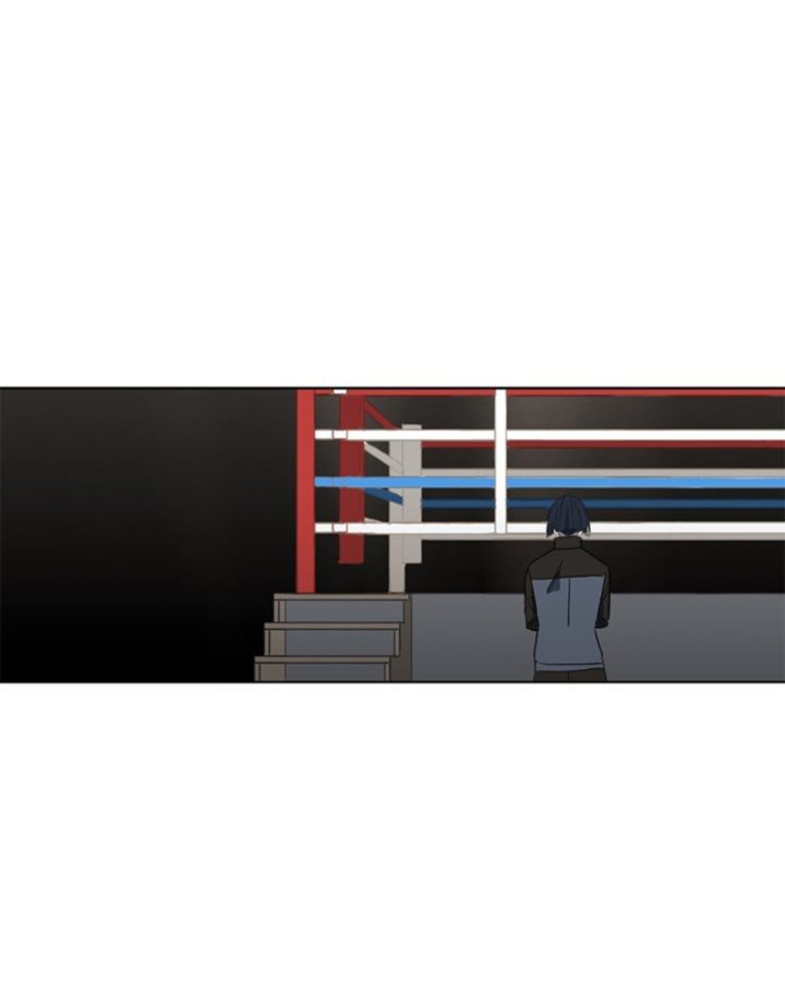 The Boxer 49 43
