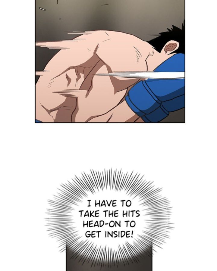 The Boxer 49 46