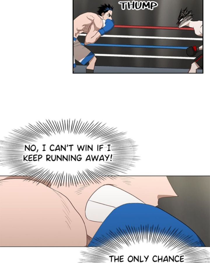 The Boxer 49 57