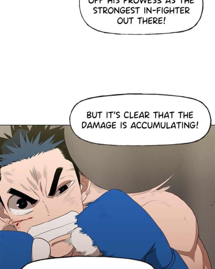 The Boxer 49 72