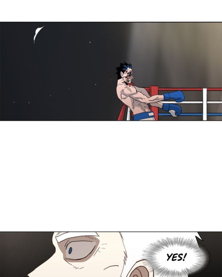 The Boxer 51 4
