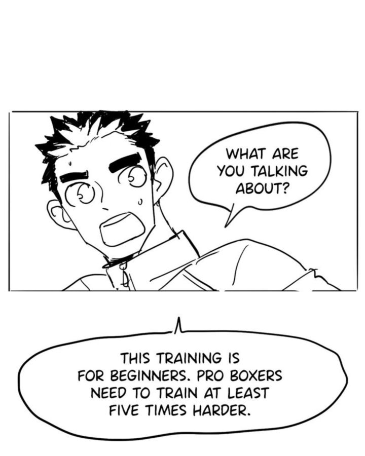 The Boxer 55 23
