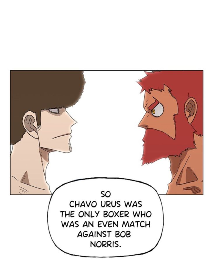 The Boxer 58 17