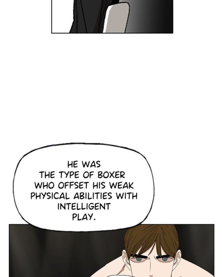 The Boxer 62 48