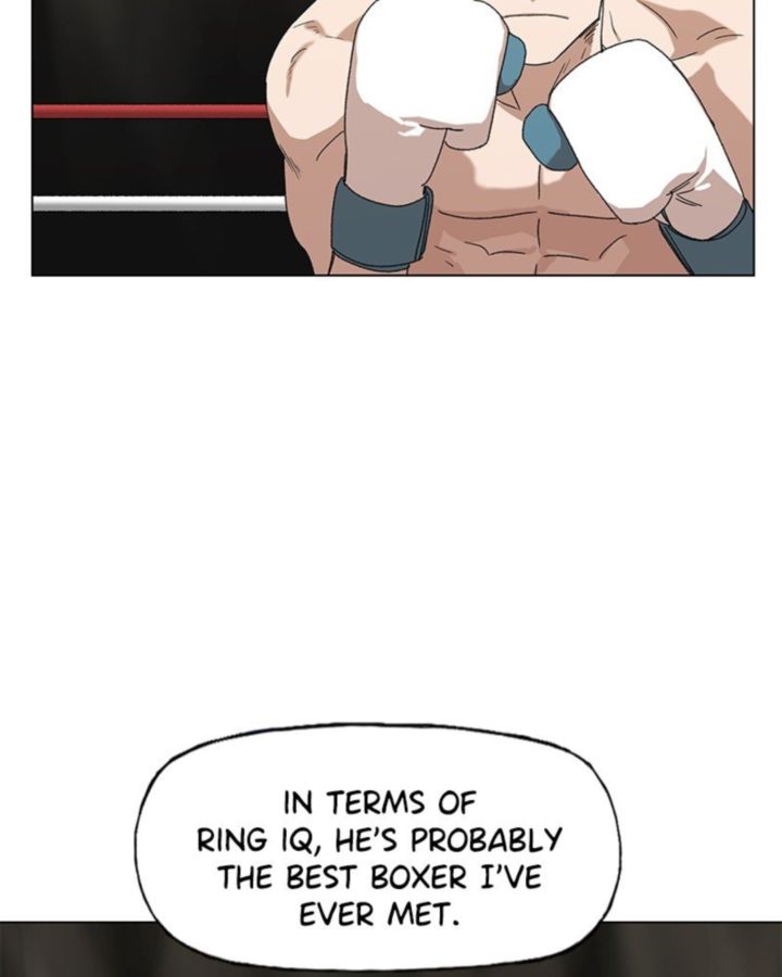 The Boxer 62 49