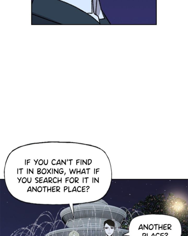 The Boxer 62 84