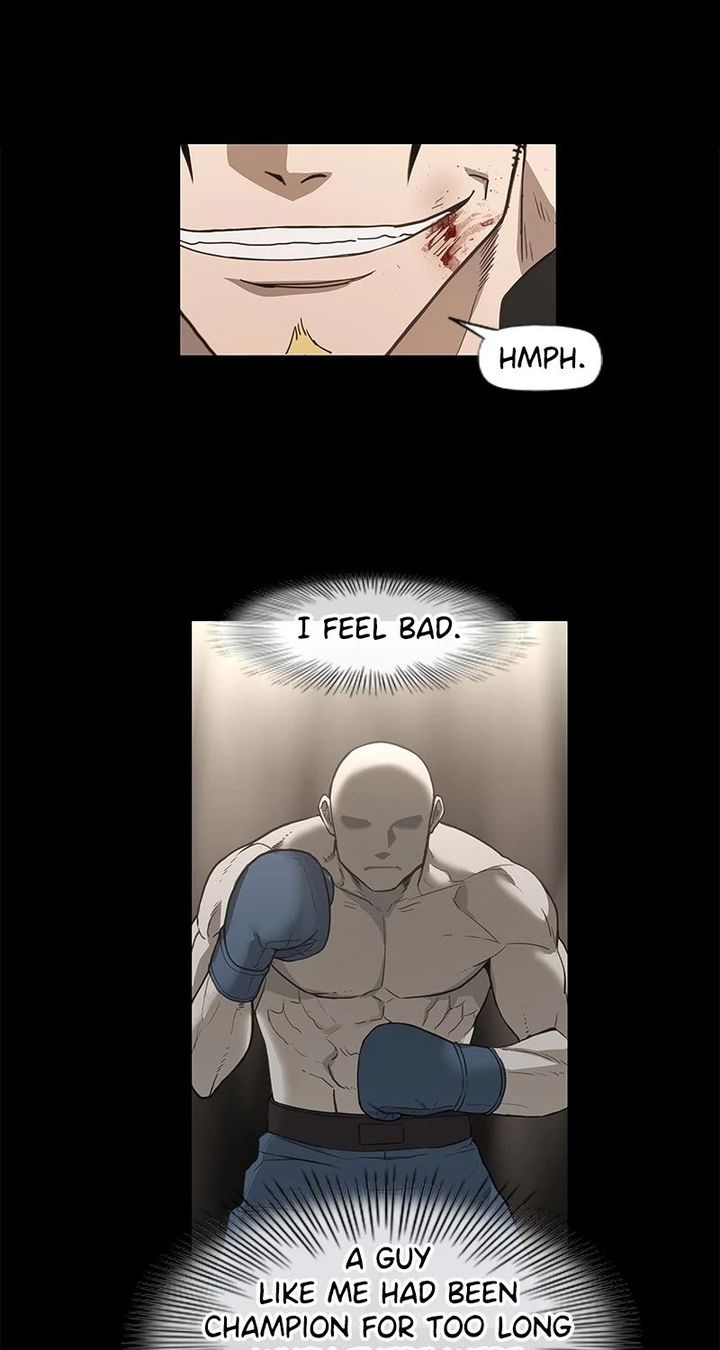 The Boxer 97 19